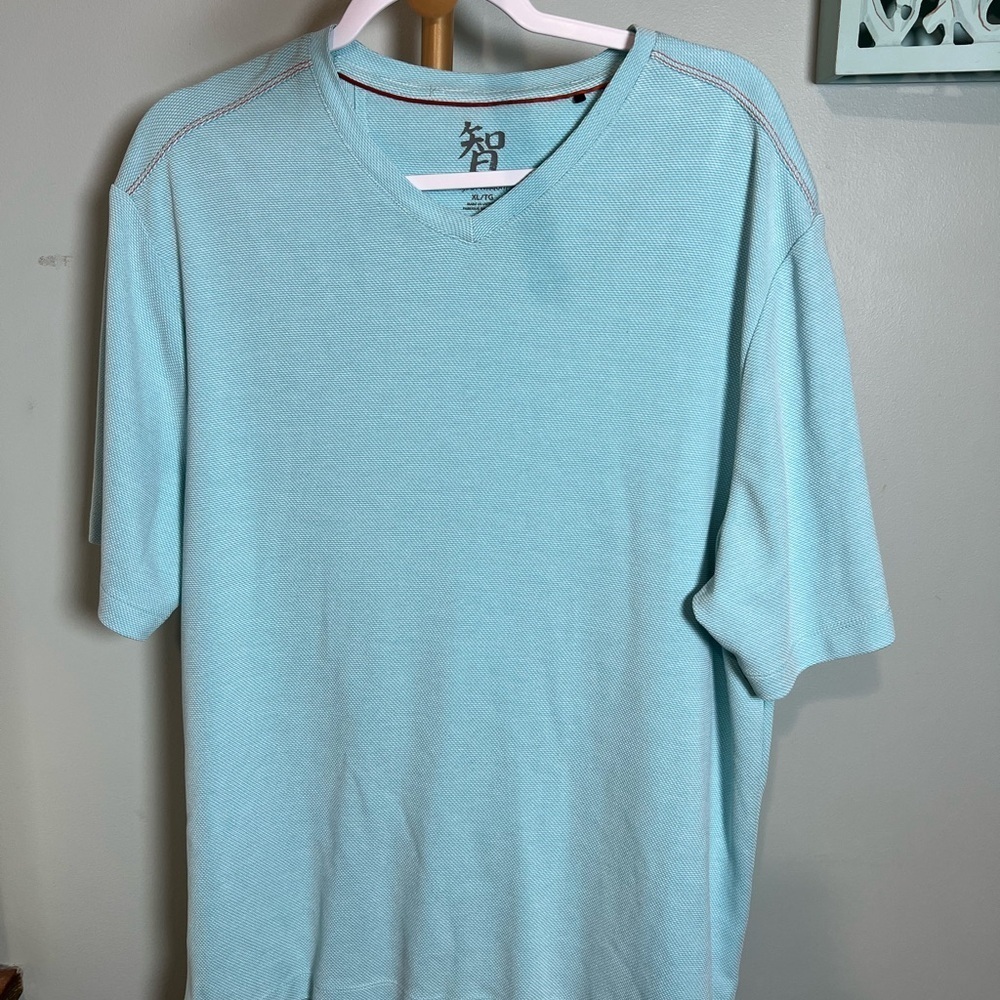 Age of Wisdom Turquoise V-Neck Tee